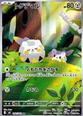 【AR】トゲデマル
