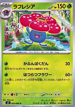 画像1: 【U】ラフレシア