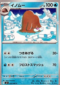 画像1: 【C】イノムー