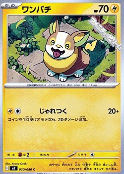 画像1: 【C】ワンパチ