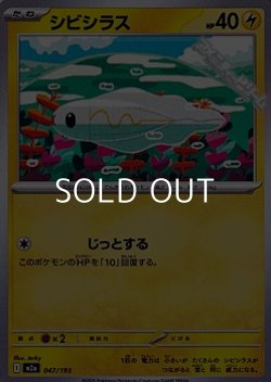 画像1: 【ノーマル】シビシラス