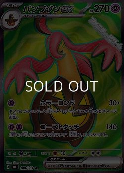 画像1: 【SR】パンプジンex