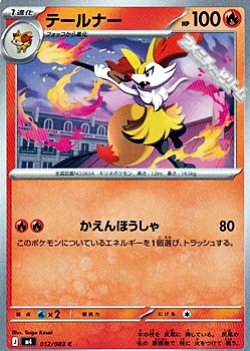 画像1: 【C】テールナー