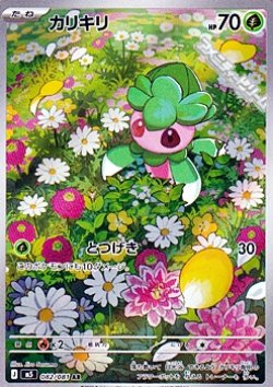 画像1: 【AR】カリキリ