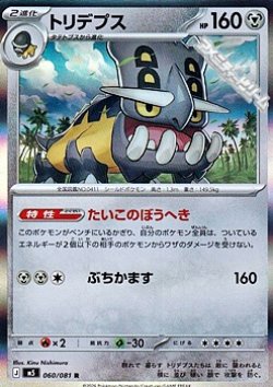 画像1: 【R】トリデプス