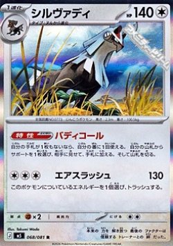 画像1: 【R】シルヴァディ