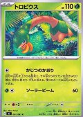 【C】トロピウス