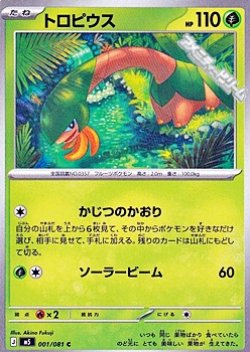 画像1: 【C】トロピウス