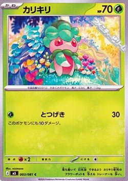 画像1: 【C】カリキリ