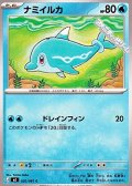 【C】ナミイルカ