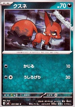 画像1: 【C】クスネ