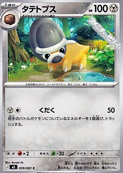 画像1: 【C】タテトプス