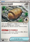 【C】古びたたての化石