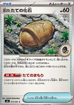 画像1: 【C】古びたたての化石