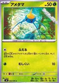 【C】アメタマ