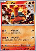 【C】コータス