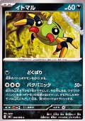 【C】イトマル