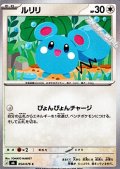【C】ルリリ