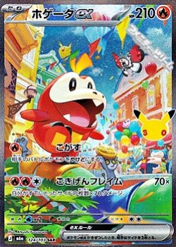 画像1: 【SAR】ホゲータex
