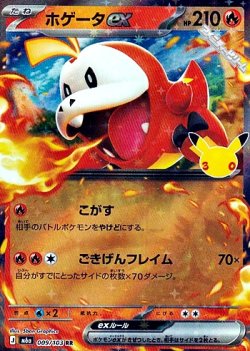 画像1: 【RR】ホゲータex