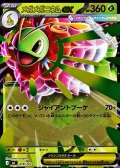 【ミラー】メガメガニウムex