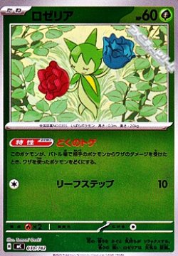 画像1: 【ミラー】ロゼリア