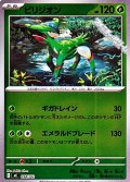 【ミラー】ビリジオン