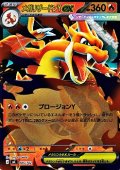 【ミラー】メガリザードンYex