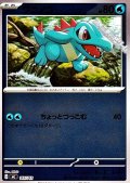 【ミラー】ワニノコ