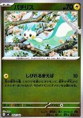 【ミラー】パチリス