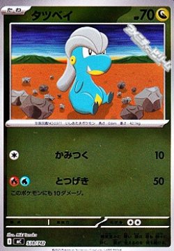 画像1: 【ミラー】タツベイ