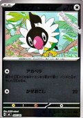 【ミラー】ペラップ