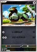 【ミラー】モトトカゲ