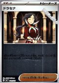 【ミラー】ドラセナ