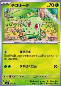 【ノーマル】チコリータ