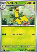 【ノーマル】ベイリーフ