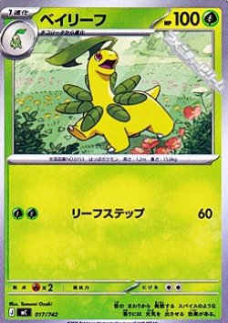 画像1: 【ノーマル】ベイリーフ