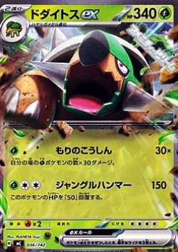 画像1: 【ノーマル】ドダイトスex