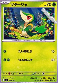 画像1: 【ノーマル】ツタージャ