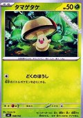 【ノーマル】タマゲタケ