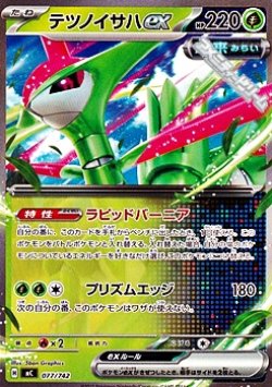 画像1: 【ノーマル】テツノイサハex