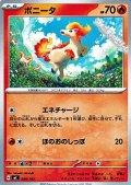 【ノーマル】ポニータ (086)