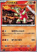 【ノーマル】バクガメス