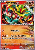 【ノーマル】ウガツホムラ