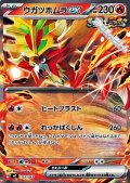 【ノーマル】ウガツホムラex