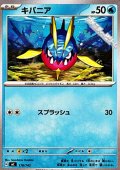 【ノーマル】キバニア