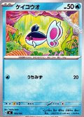 【ノーマル】ケイコウオ