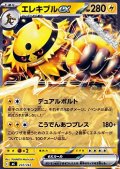 【ノーマル】エレキブルex
