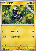 【ノーマル】シママ (250)