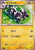 【ノーマル】ゼブライカ (251)